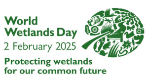 wetlands day poster