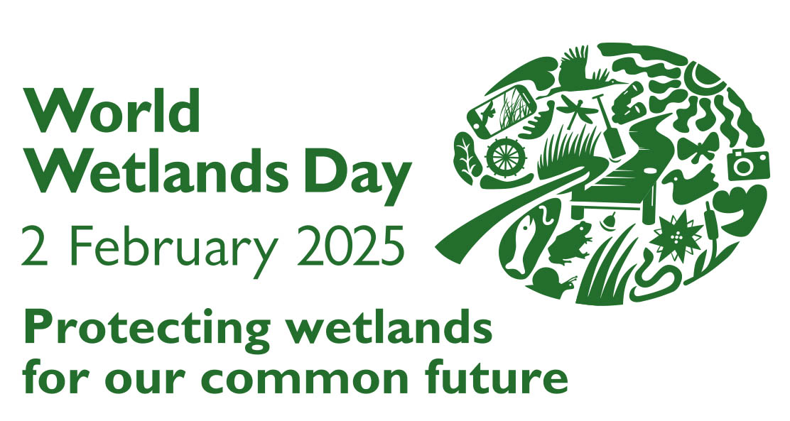 wetlands day poster